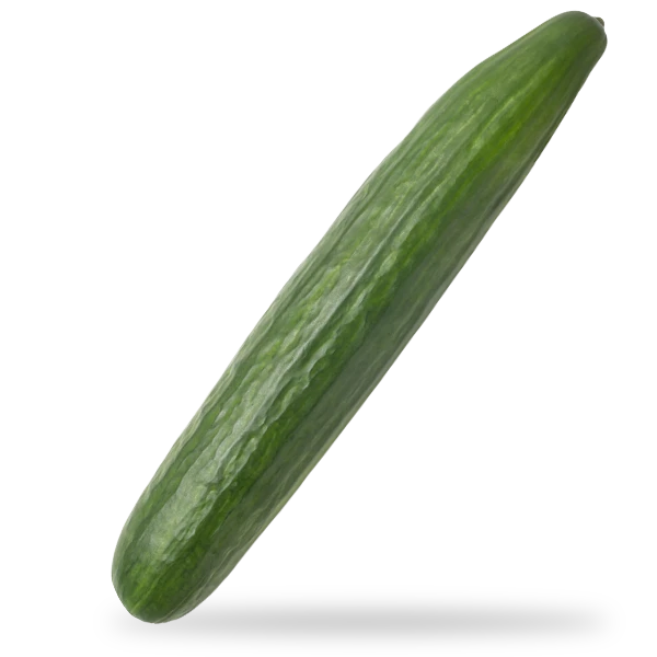 floratom_termek_uborka_v1
